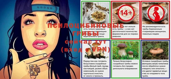 ешки Каменногорск