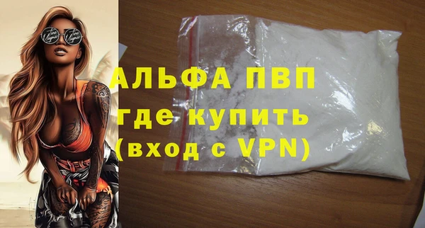 стаф Иннополис