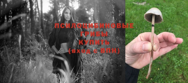 ешки Каменногорск