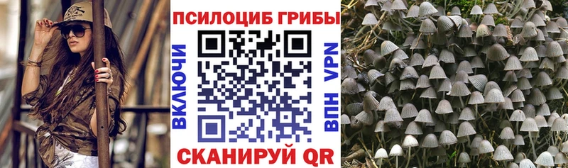 Галлюциногенные грибы прущие грибы  Купить где  Боровск 